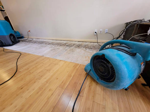 Professional Emergency Water Damage technician working in Brooksville, FL